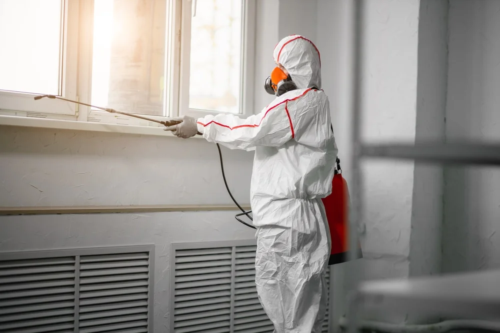 Professional mold remediation services in North Lima, OH